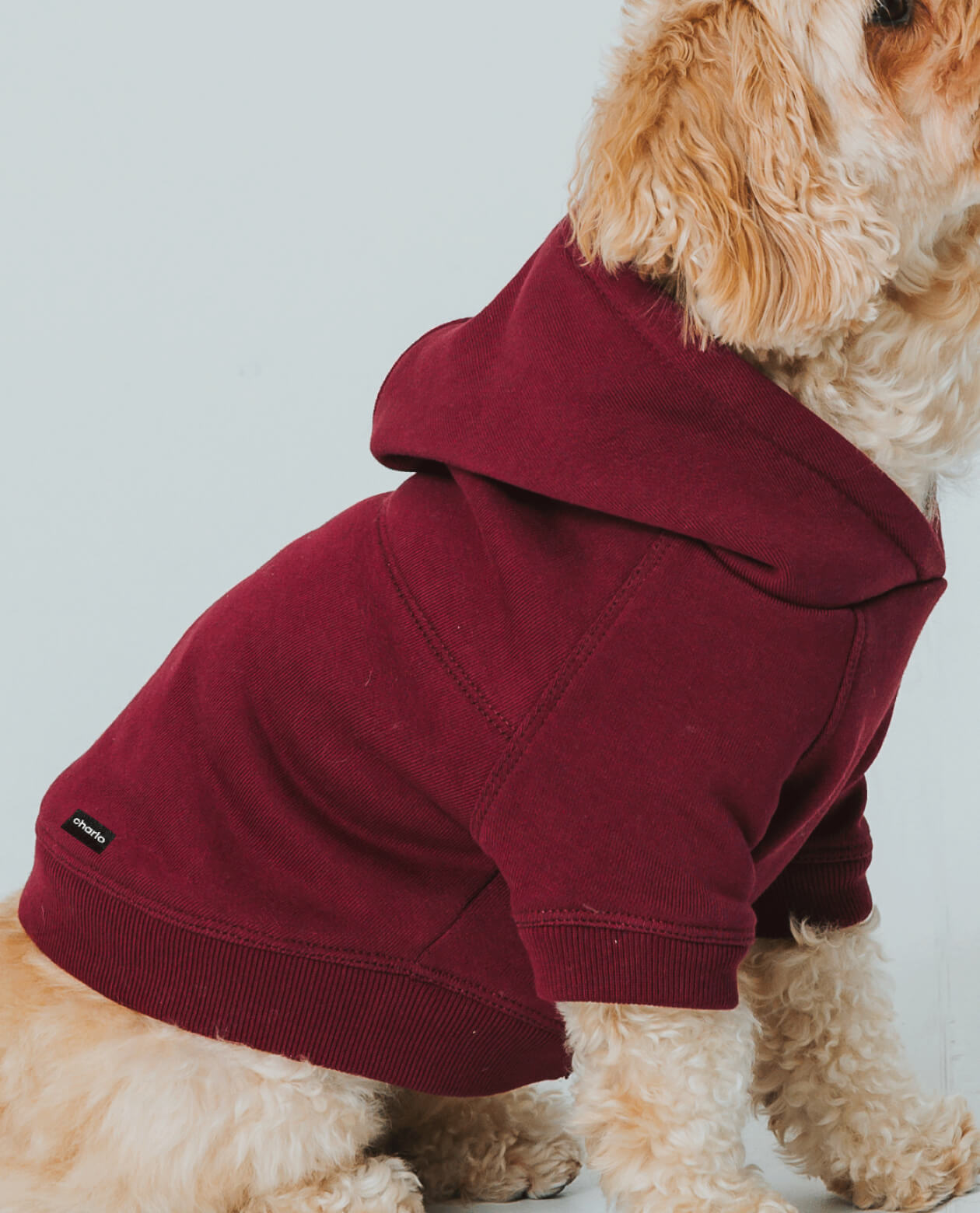 Classic Hoodie – Merlot