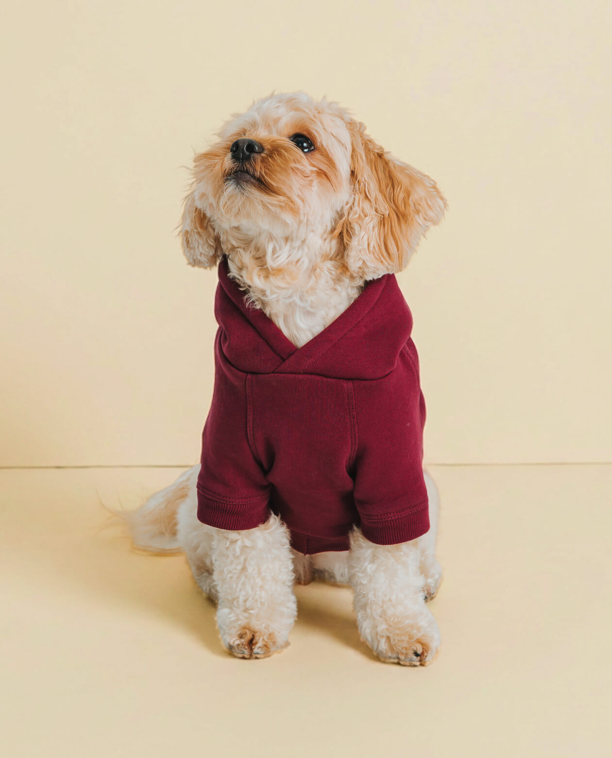 Classic Hoodie – Merlot