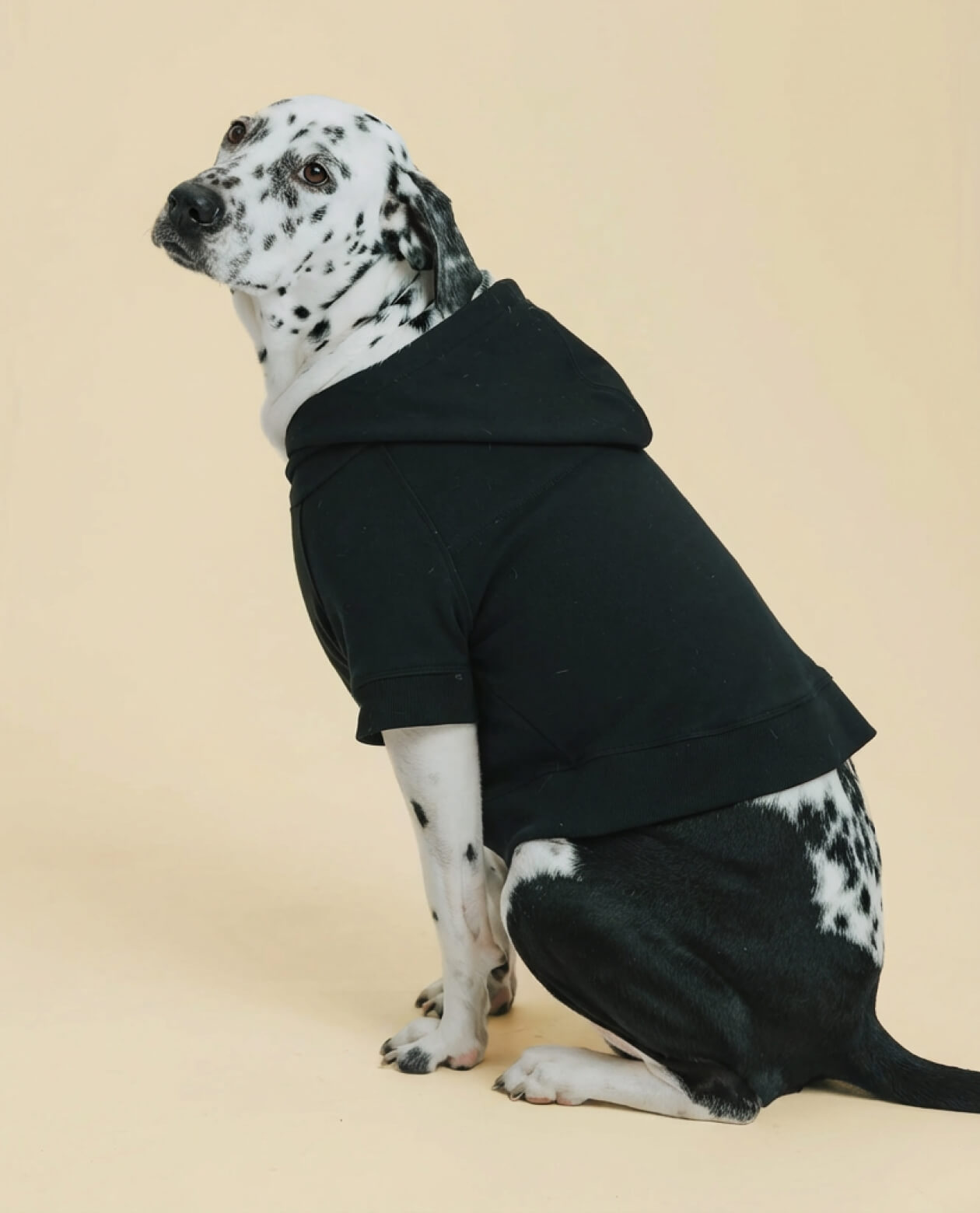 Classic Hoodie - Black