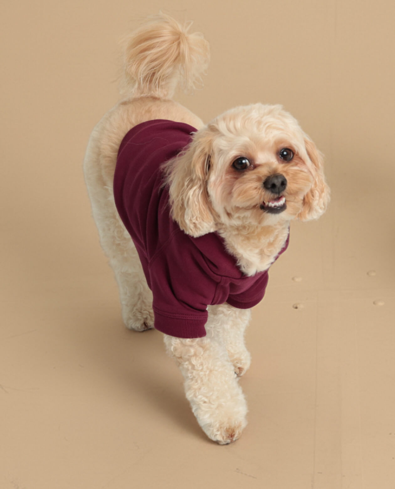 Classic Hoodie – Merlot