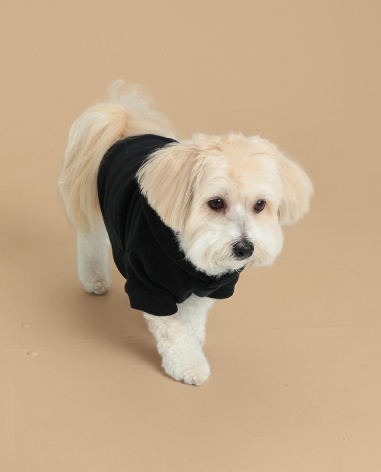 Classic Hoodie - Black