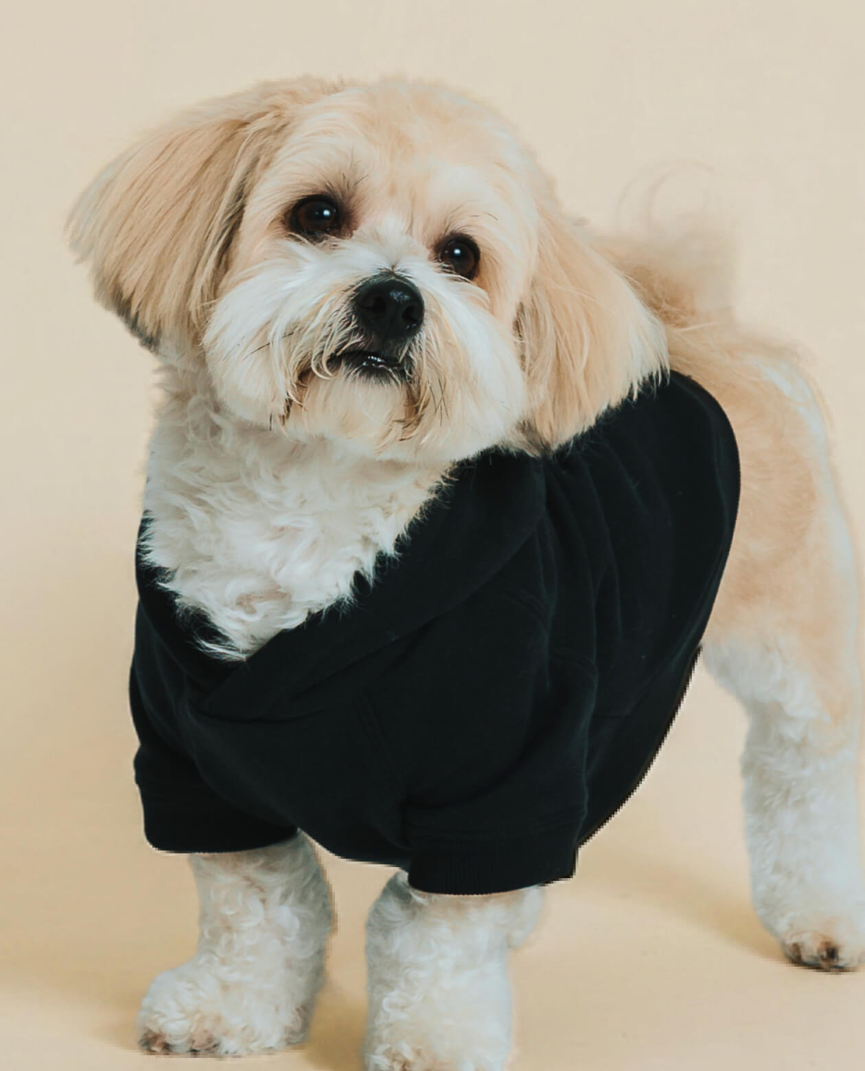 Classic Hoodie - Black