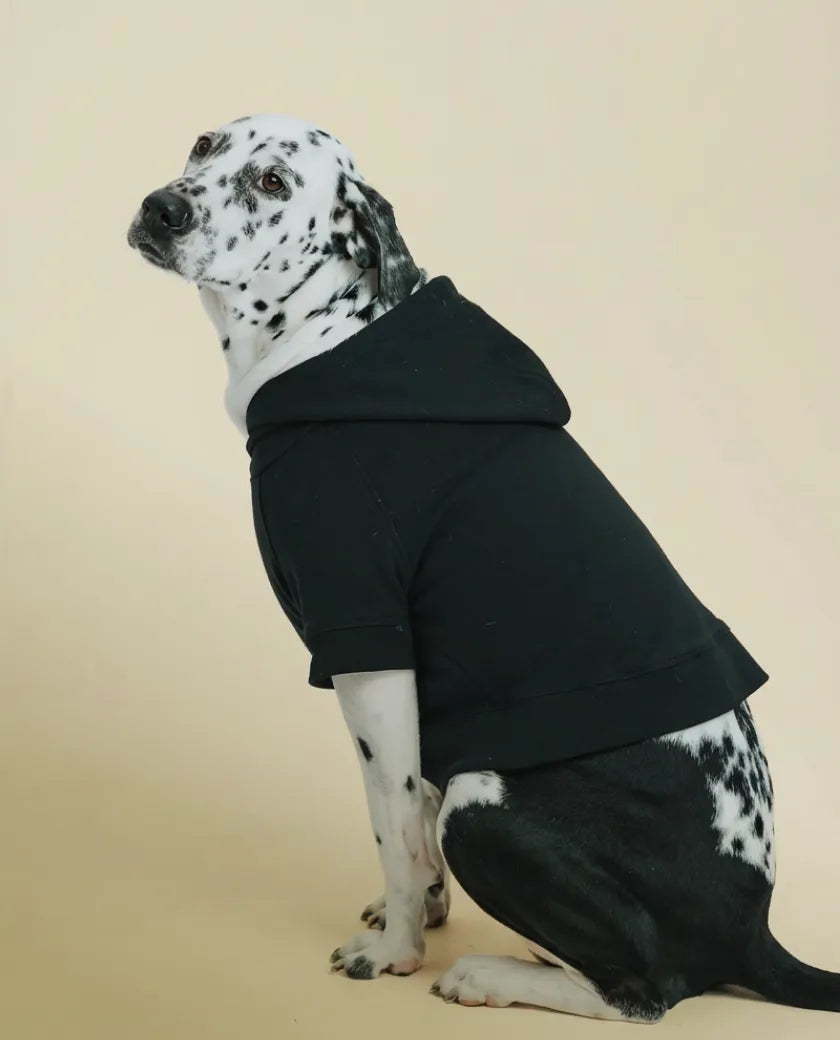 Need Help Finding the Perfect Fit?